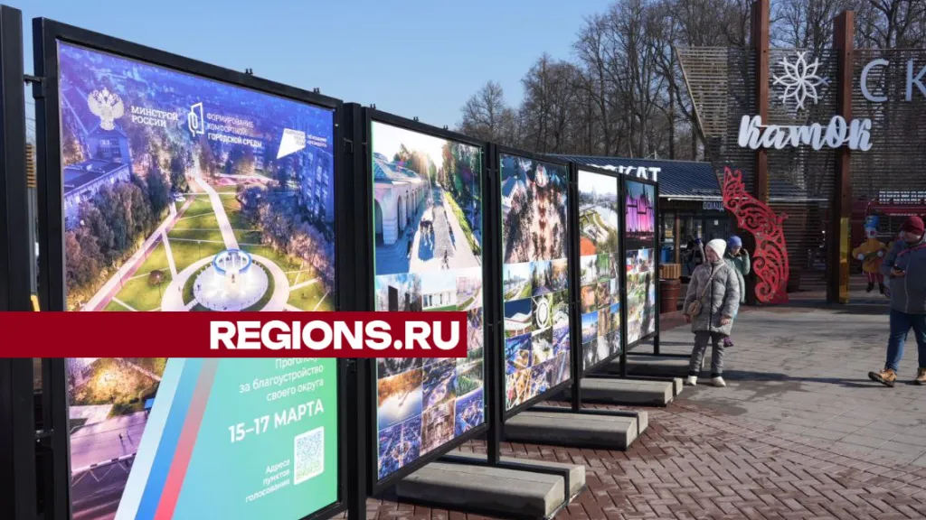 Фото: REGIONS/Дмитрий Зайчиков