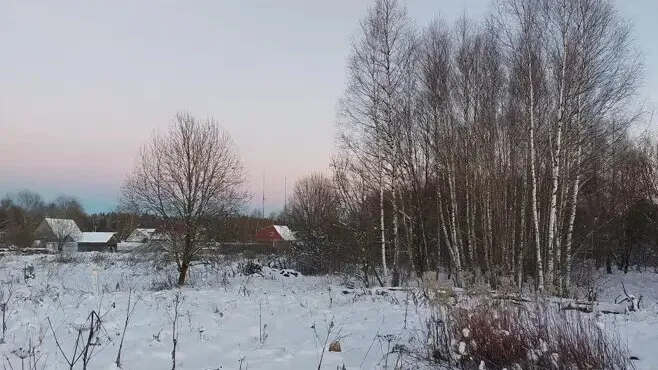 Фото: Комитет по конкурентной политике Московской области