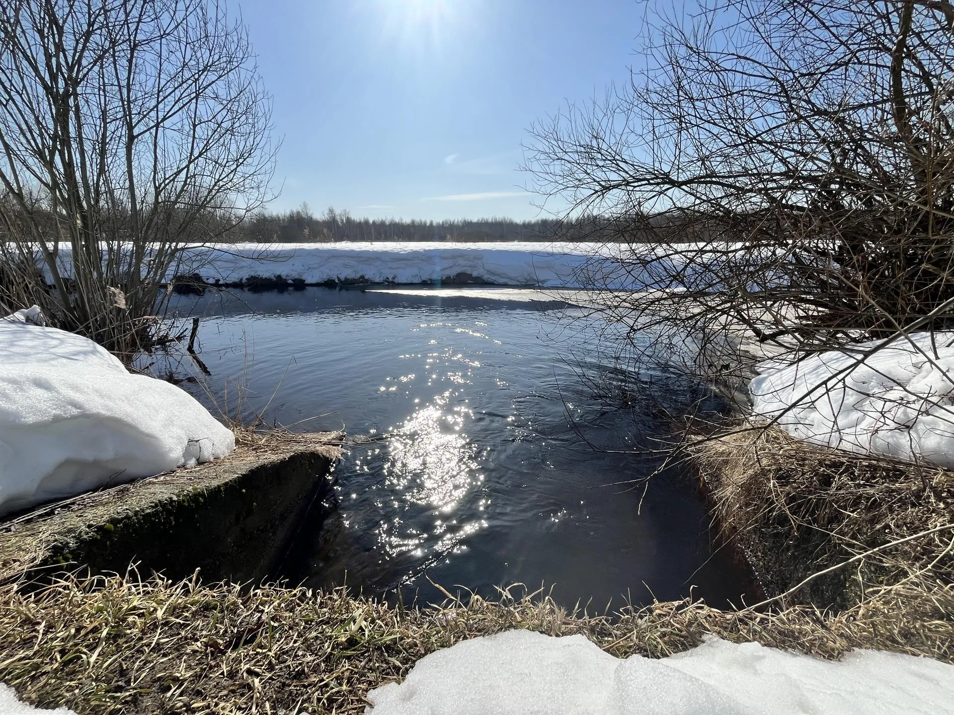 МедиаБанк Подмосковья/Ангелина Стельмух