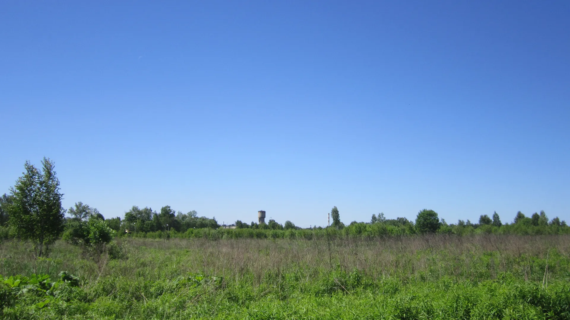 Фото: Олег Книжник