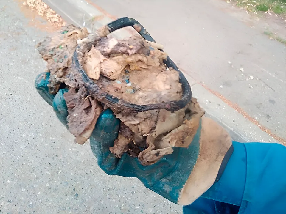 Фото:&nbsp;МБУ «Благоустройство, ЖКХ и ДХ м. о. Зарайск»