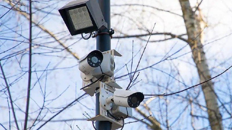 Фото: пресс-служба правительства Московской области