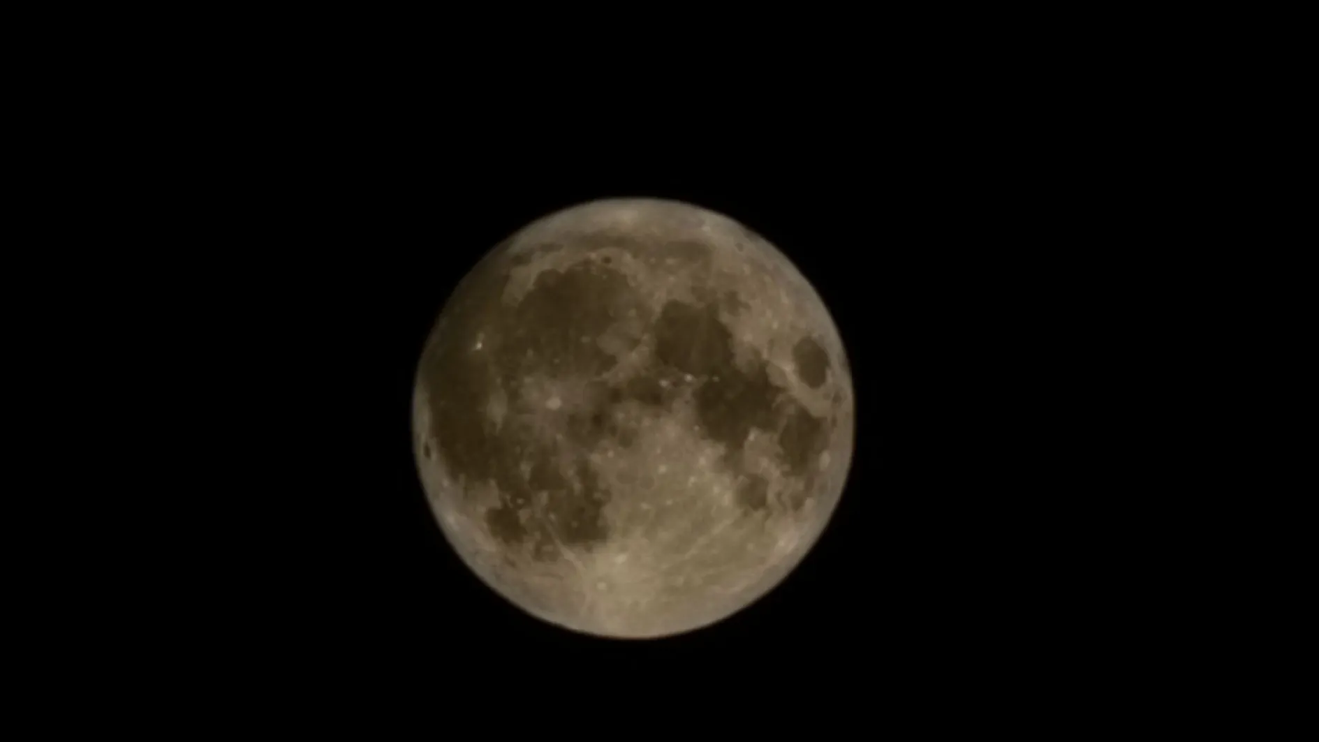 Фото: МедиаБанк Подмосковья/Евгений Лавряшин