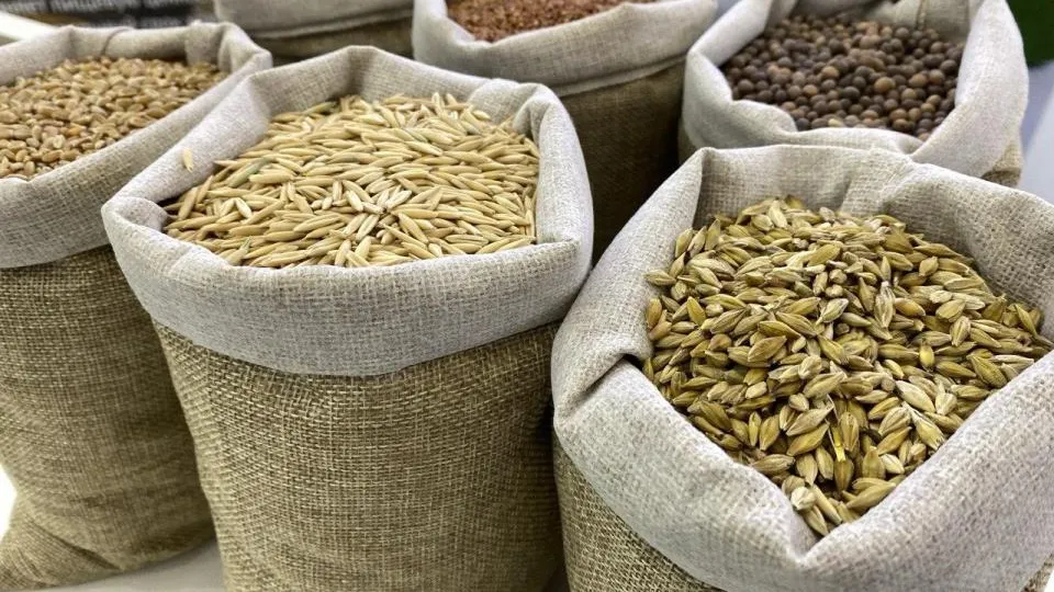 Фото: пресс-служба Министерства сельского хозяйства и продовольствия Московской области