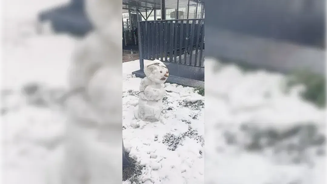 Взгляд обреченности: в Люберцах неожиданно ожил символ 150-го дня зимы