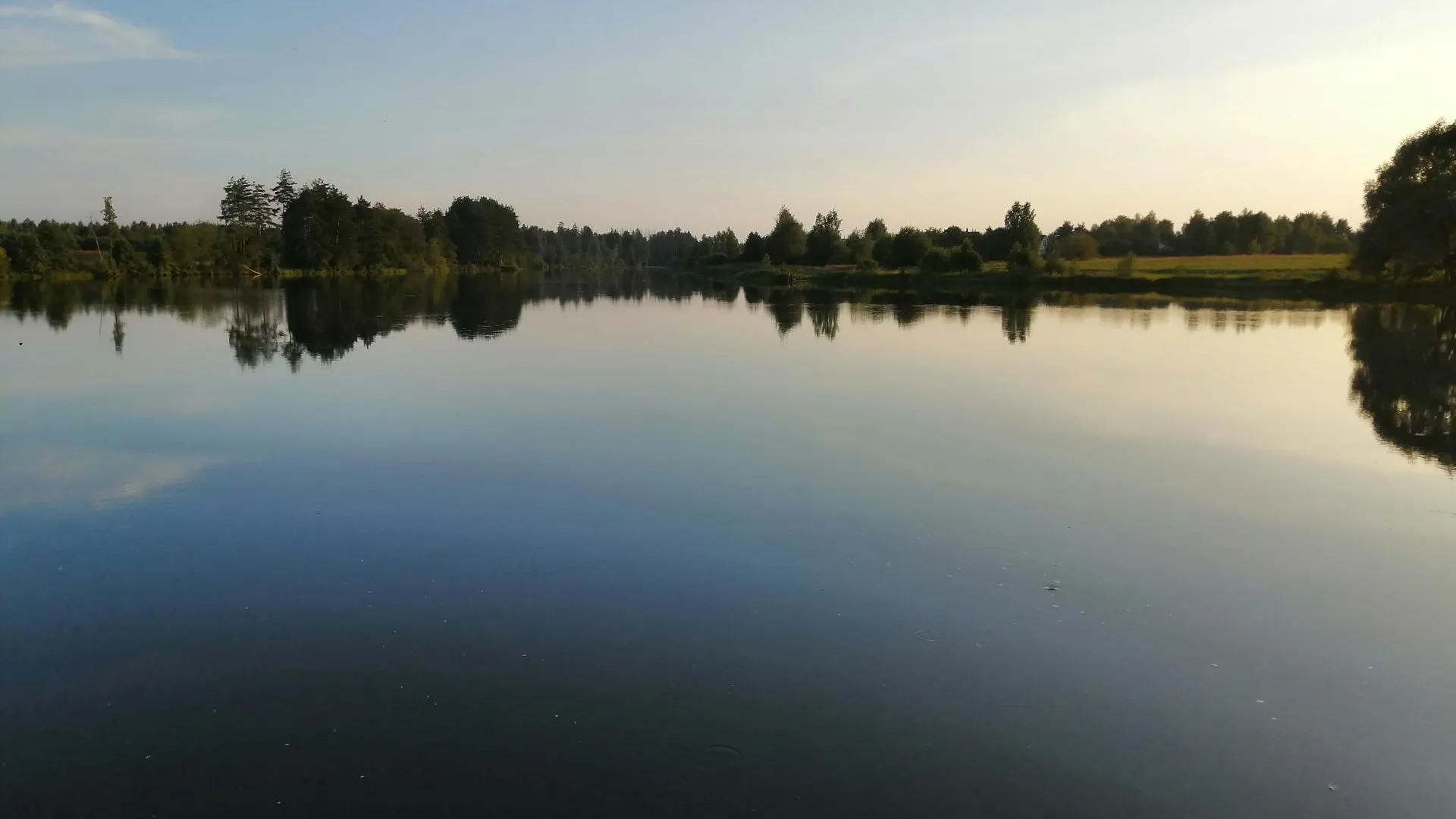 Фото: ГКУ МО «Мособлпожспас»