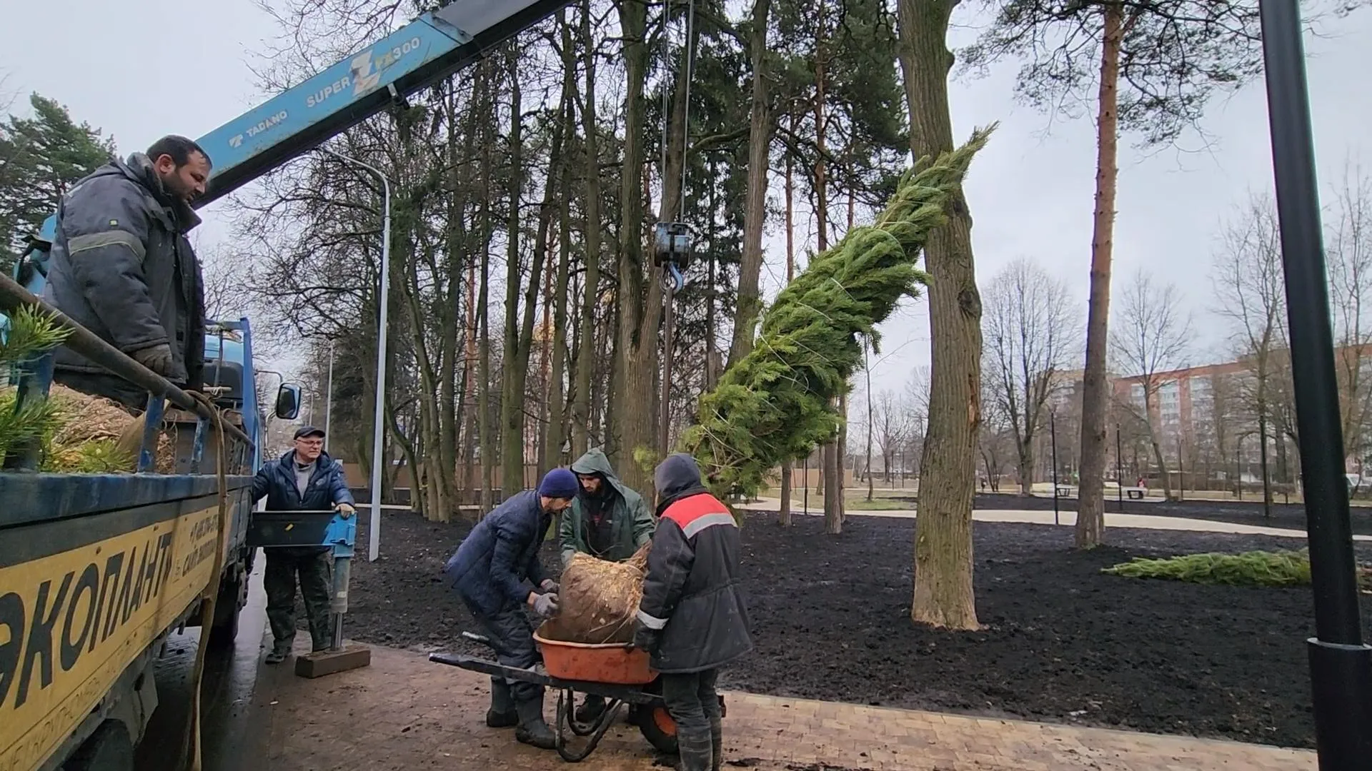 Сморкалов Никита