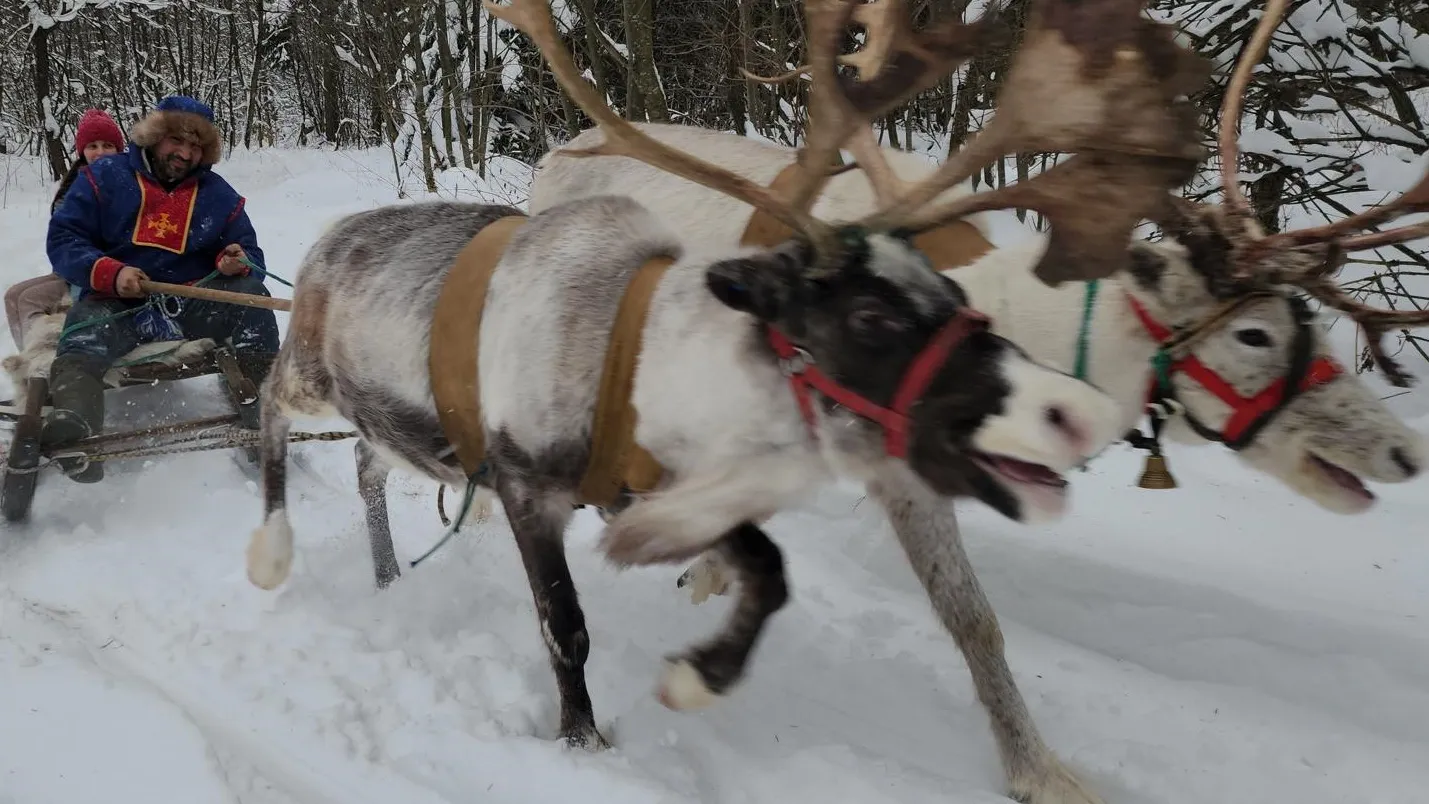 Фото: Екатерина Данилина