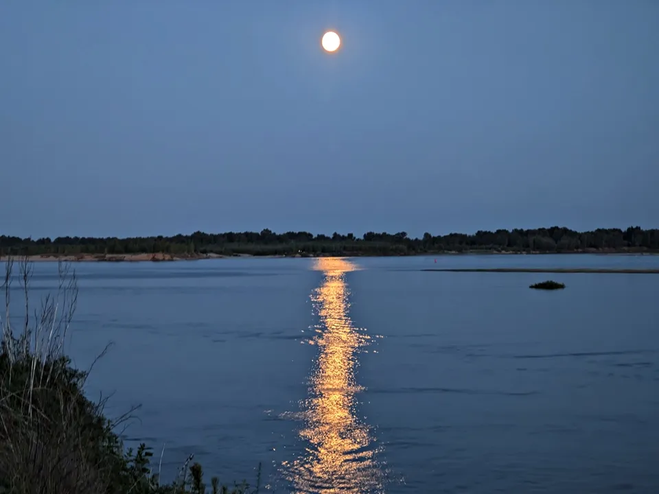 Фото: REGIONS/Алексей Селиверстов