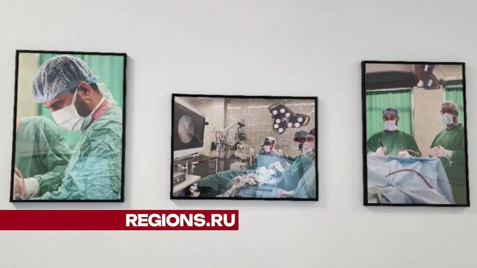 Фото: Мария Андрюхина