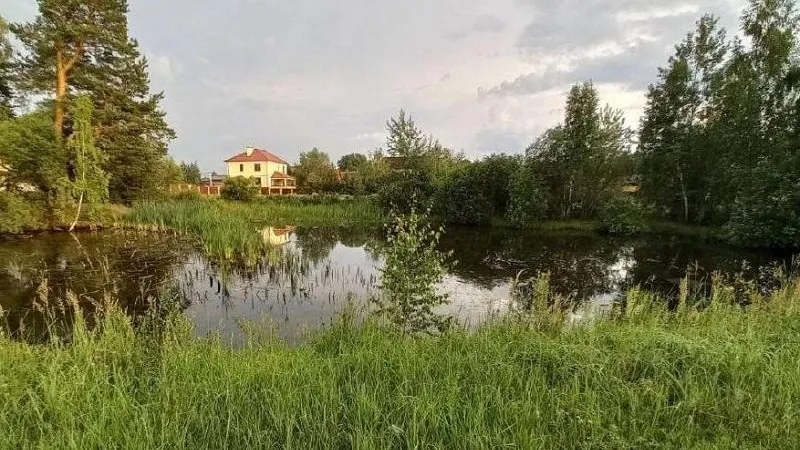 Фото: Минэкологии МО