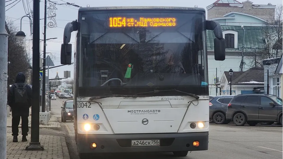 Фото: Хавива Фонина