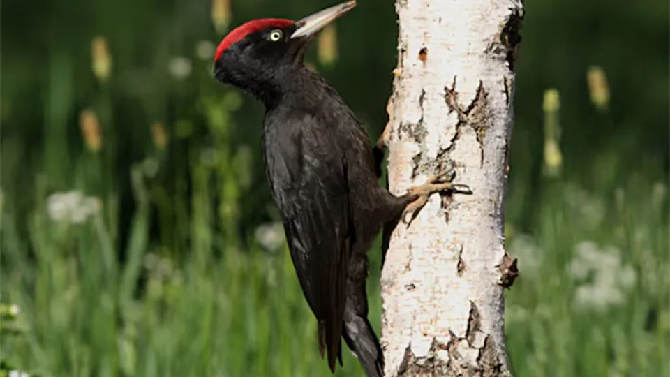 Фото: freepik.com