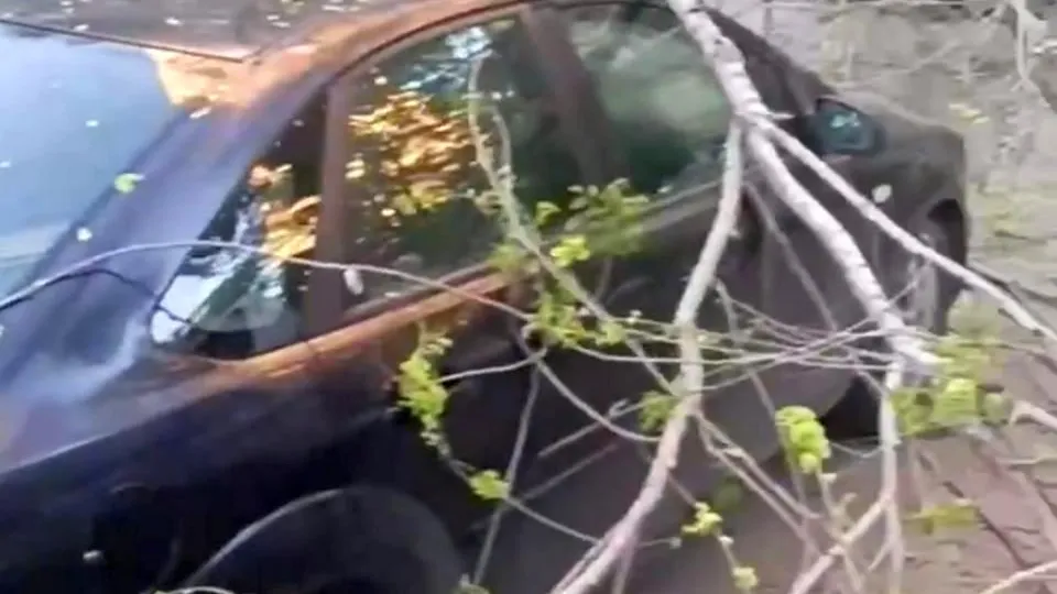 Фото: соцсети