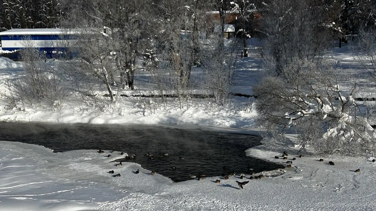 пресс-служба администрации Наро-Фоминского г.о.
