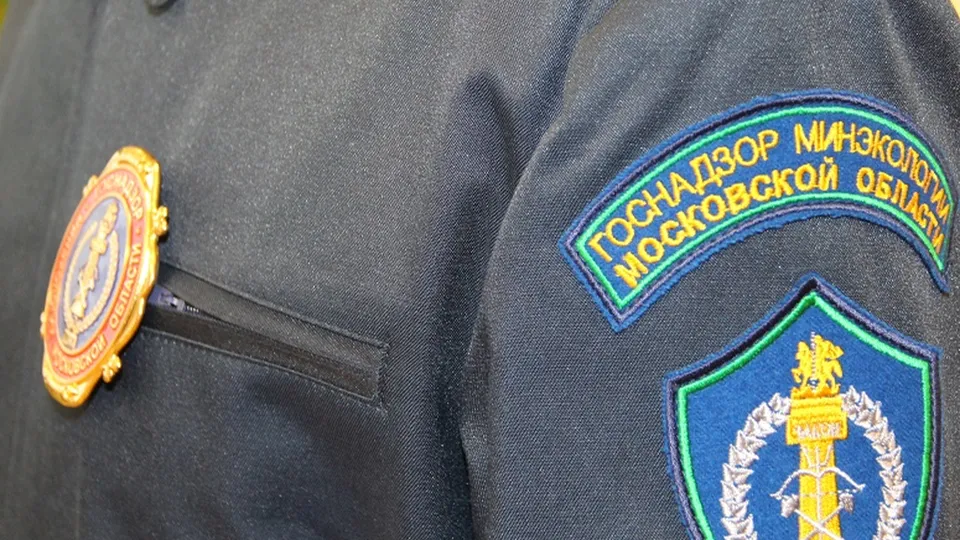 Фото: Министерство экологии и природопользования Московской области