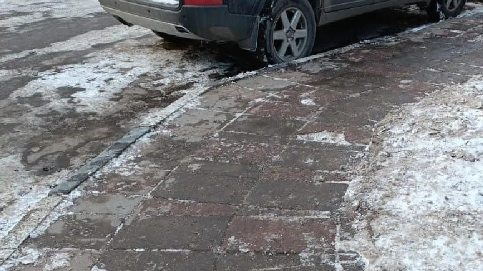 Фото: администрация Одинцовского городского округа