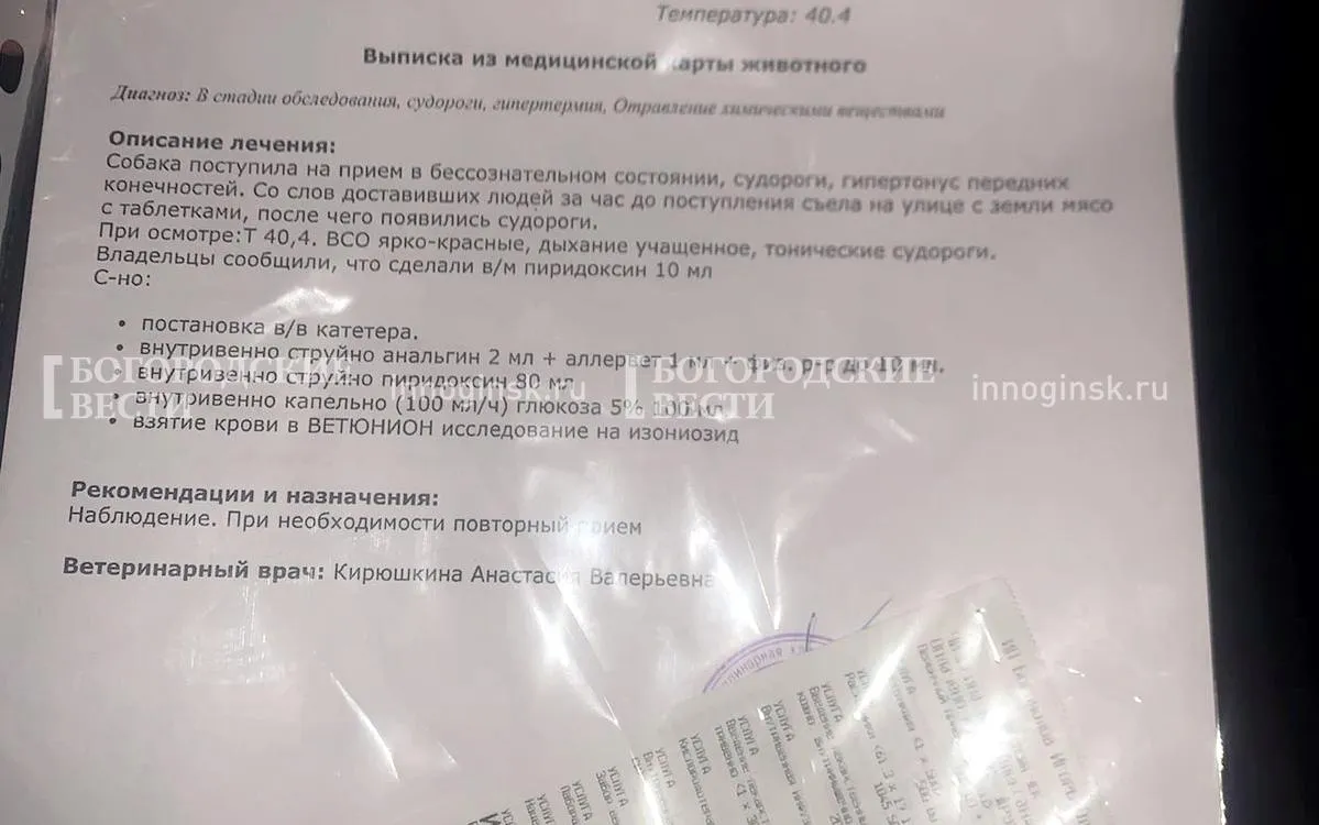 Фото предоставлено волонтерами