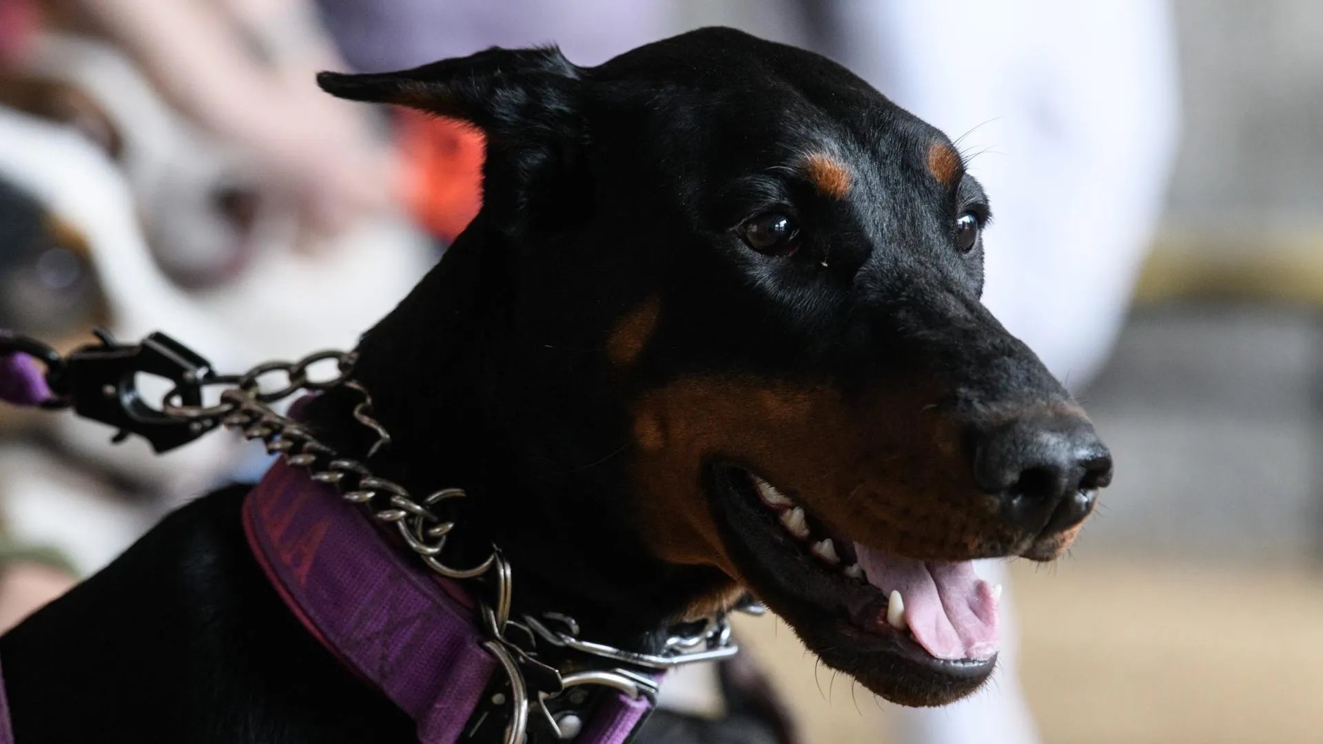 Ilya Moskovets/URA.RU