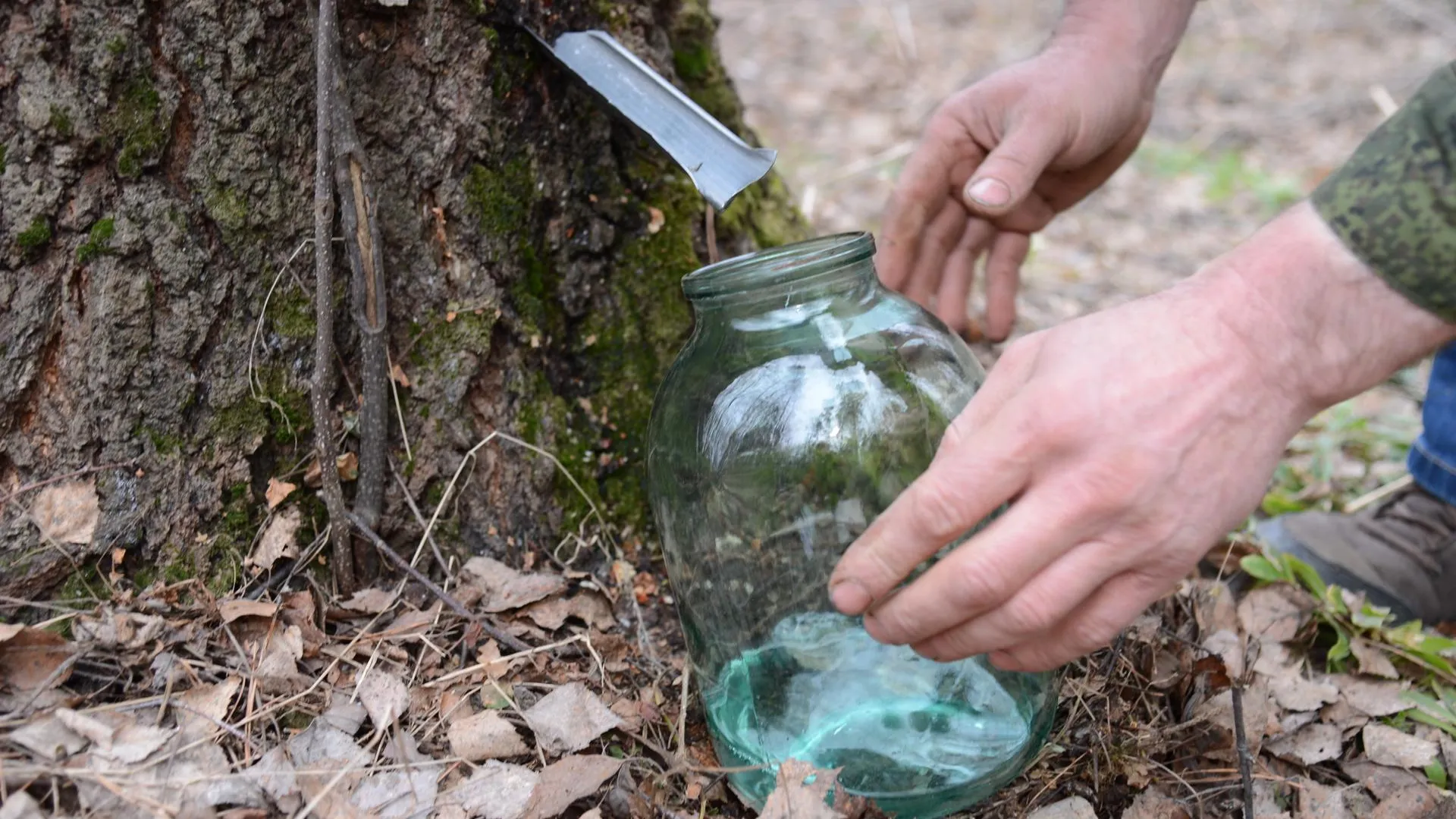 REGIONS/Нина Соколова