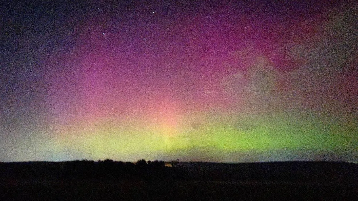 Дарья Леонова