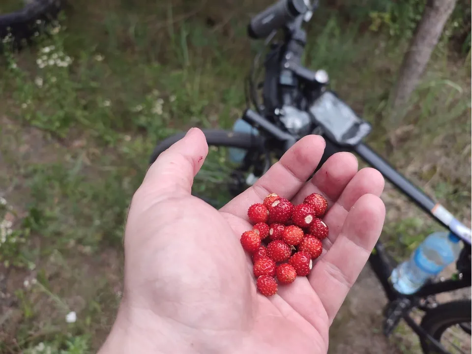 Фото: личный архив Алексея Курлукова