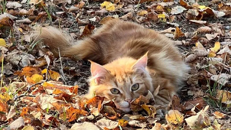 Фото: Елена Фурман