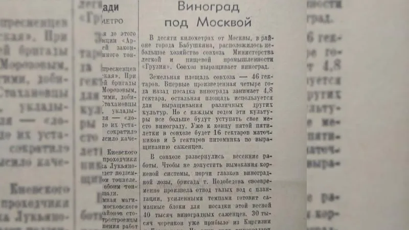 Чувство вина: о чем писала газета 11 апреля 1953 года