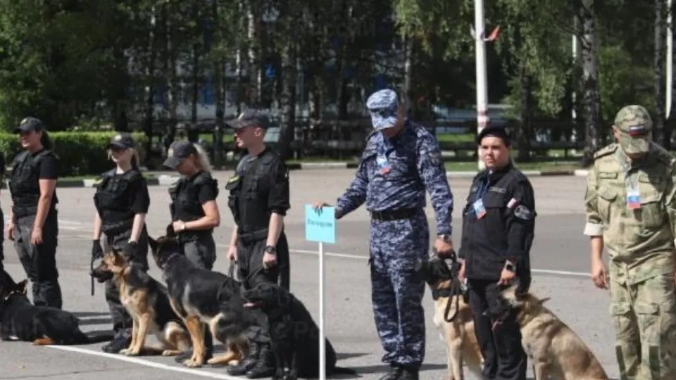 Фото: ГУ МЧС России по Московской области