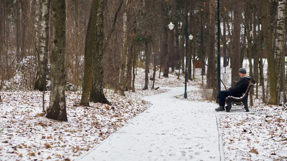 Фото: медиасток.рф