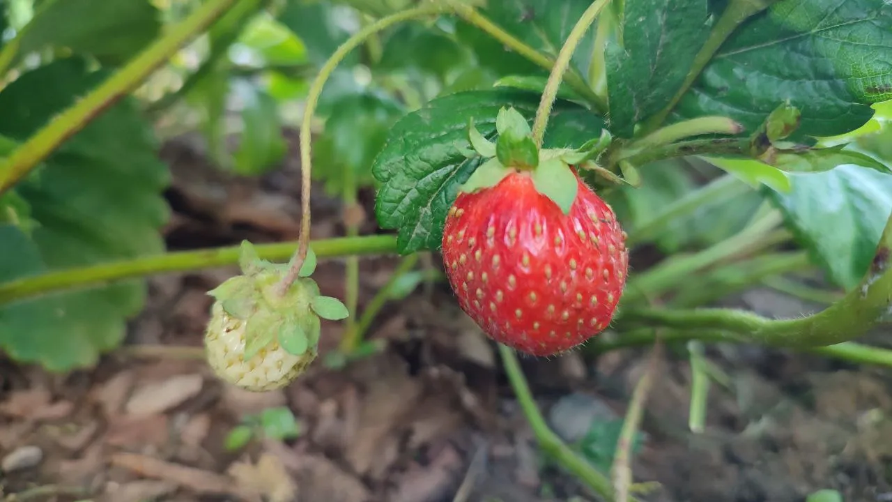 Фото: REGIONS/Елена Забелина