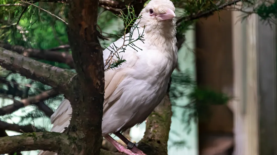 Фото: istockphoto.com/My content