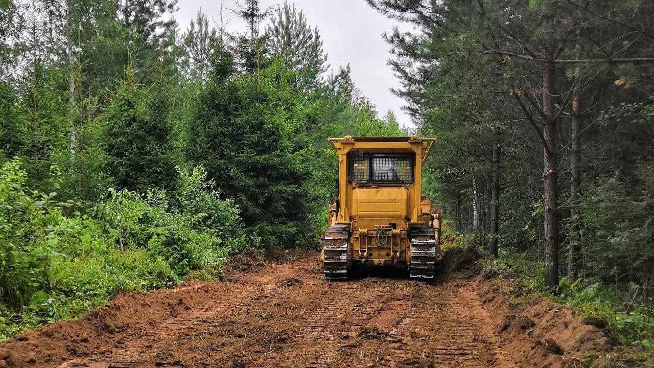 Более 50 км дорог привели в порядок в лесах Подмосковья