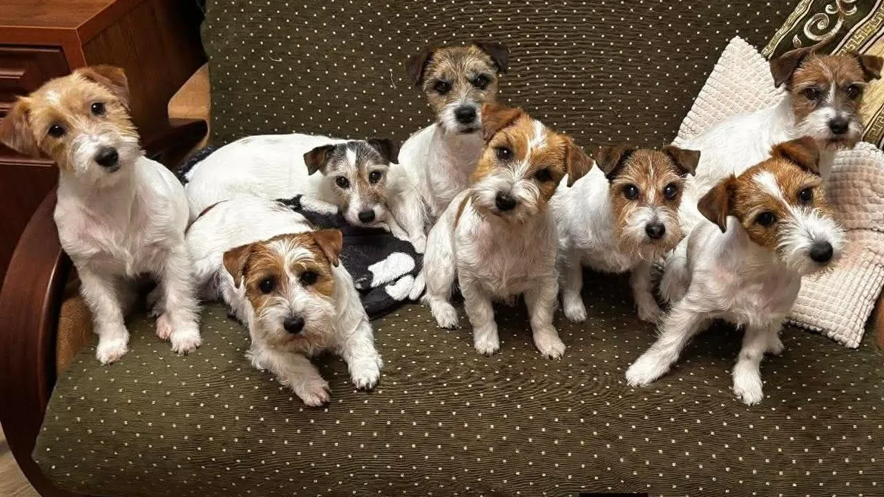 личный архив Юлии Беловой