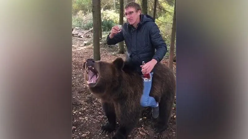 В сети завирусился ролик с мужчиной, пьющим алкоголь верхом на медведе