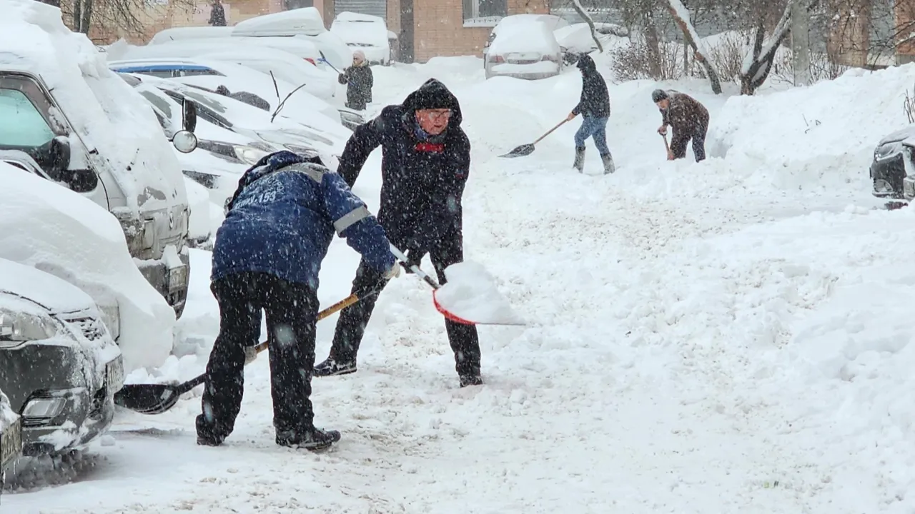 МедиаБанк Подмосковья/Дмитрий Алексеенко