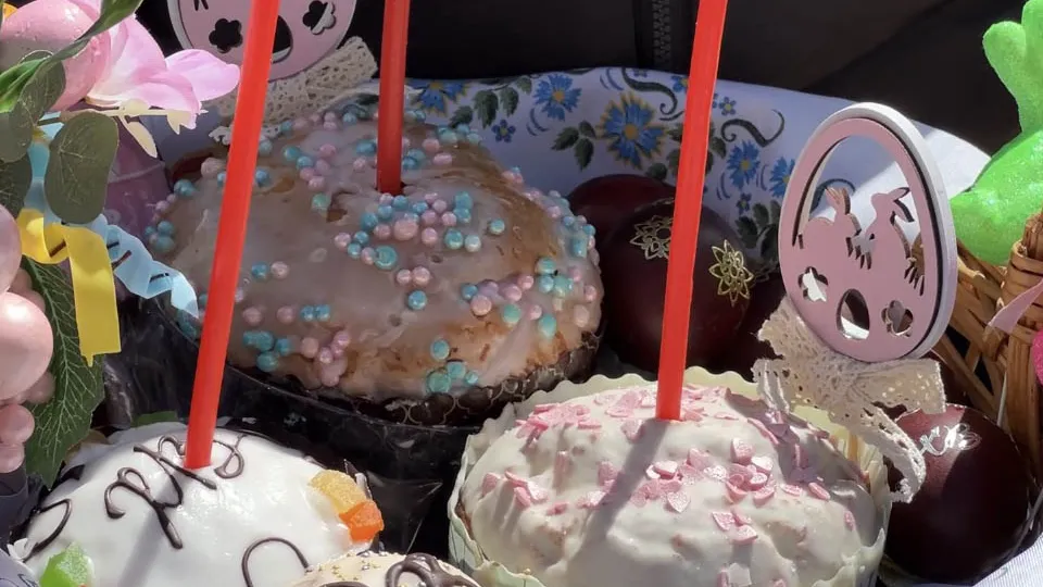 Фото: Медиабанк Подмосковья/Ерофеева Валерия