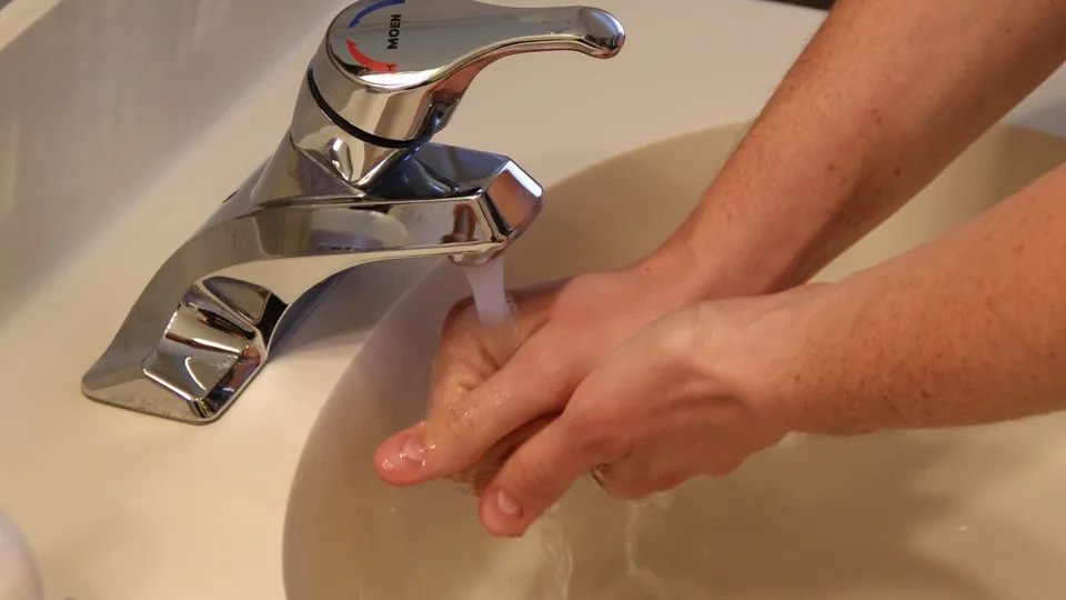 Фото: pxhere.com