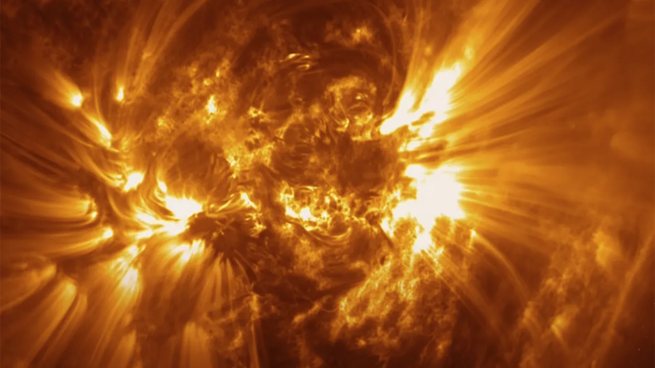 Фото: istockphoto.com/murat4art