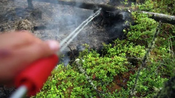 В Якутии горят более миллиона 300 тысяч гектаров леса