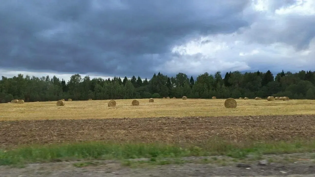 Пресс-служба губернатора и правительства Подмосковья