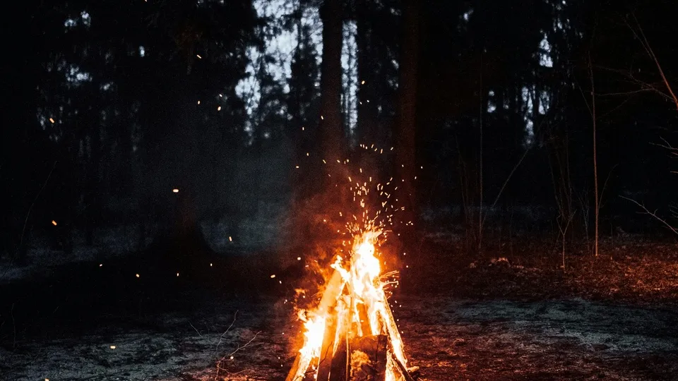 Фото: unsplash.com