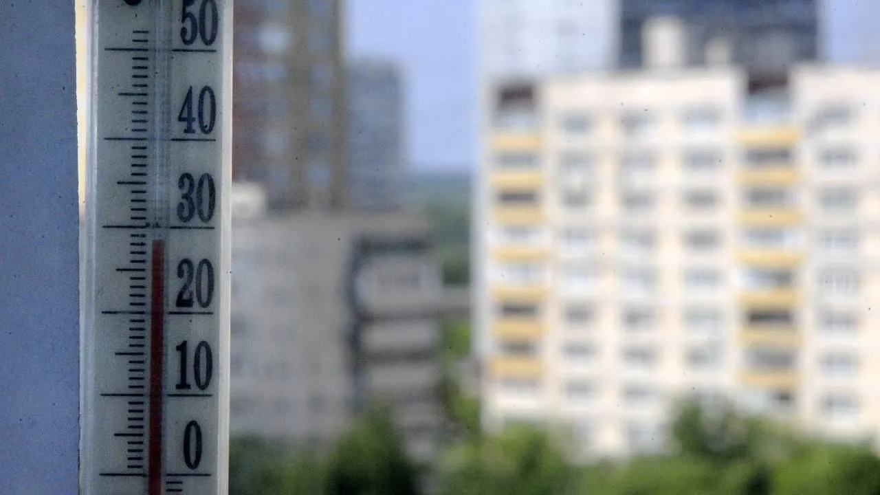 Медиаархив Подмосковья