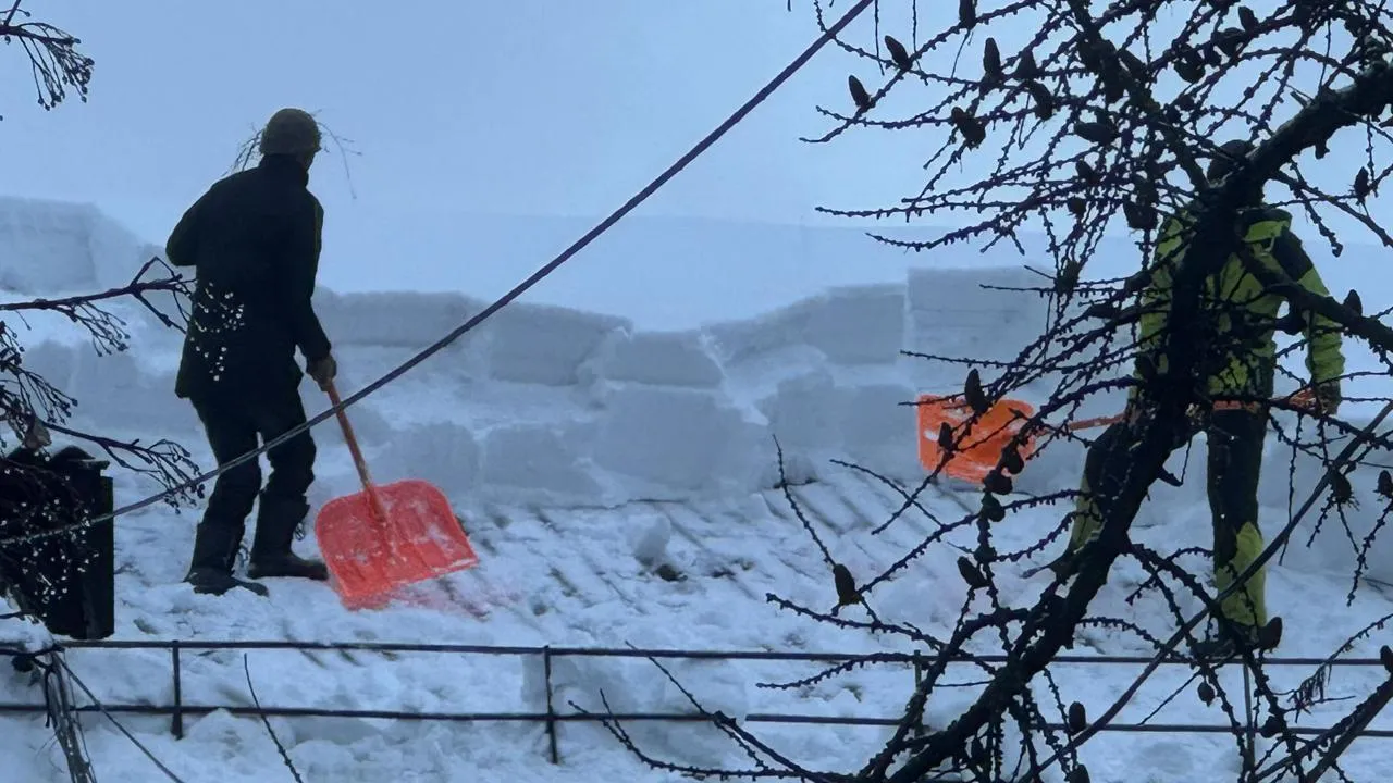 Виктория Фортуна