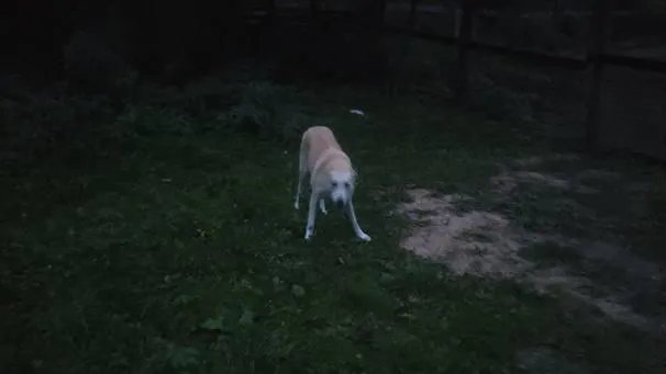 телеграм-канал "Подслушано | Мытищи"