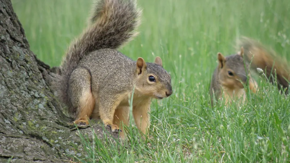 Фото: istockphoto.com