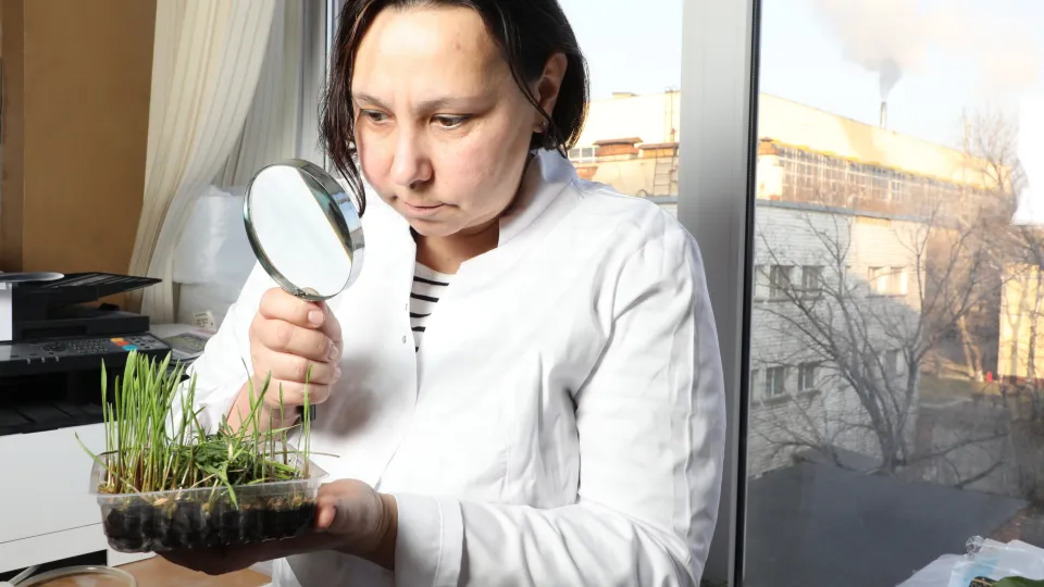 Фото: Альгирдас Руйбис/пресс-служба компании «Август»