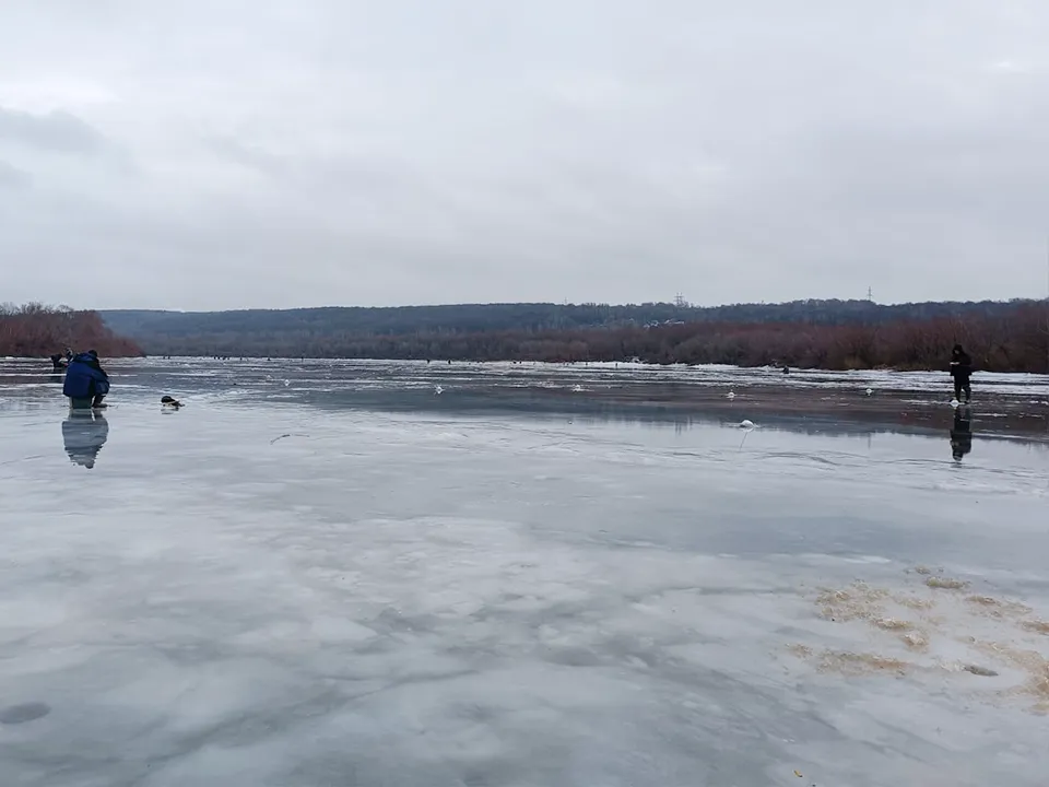 Фото: Светлана Арсентиева<br>