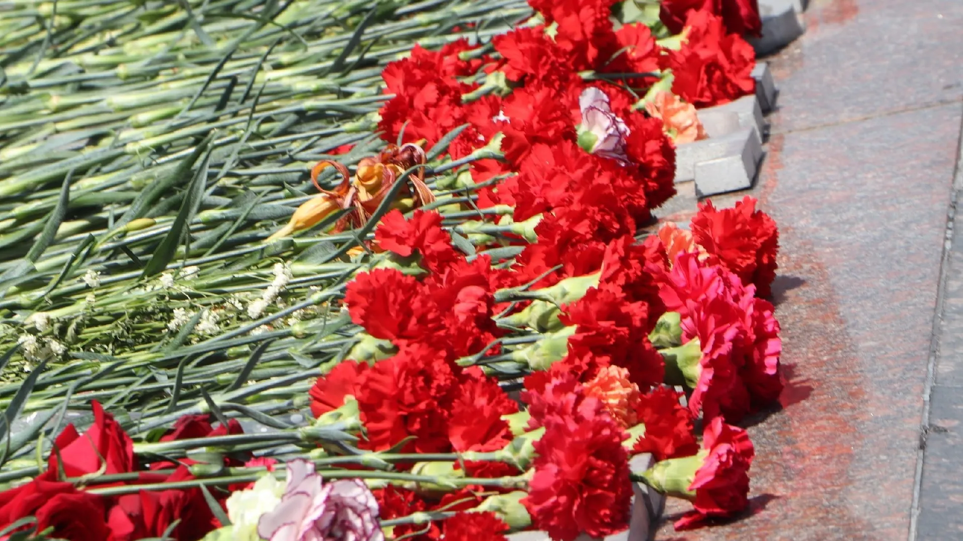 Фото: vk.com/Виктор Петрущенко