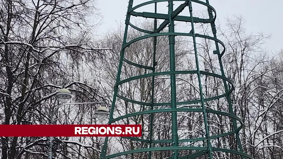 Фото: Роман Савельев